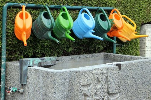 Pflanzenbrühen selbermachen