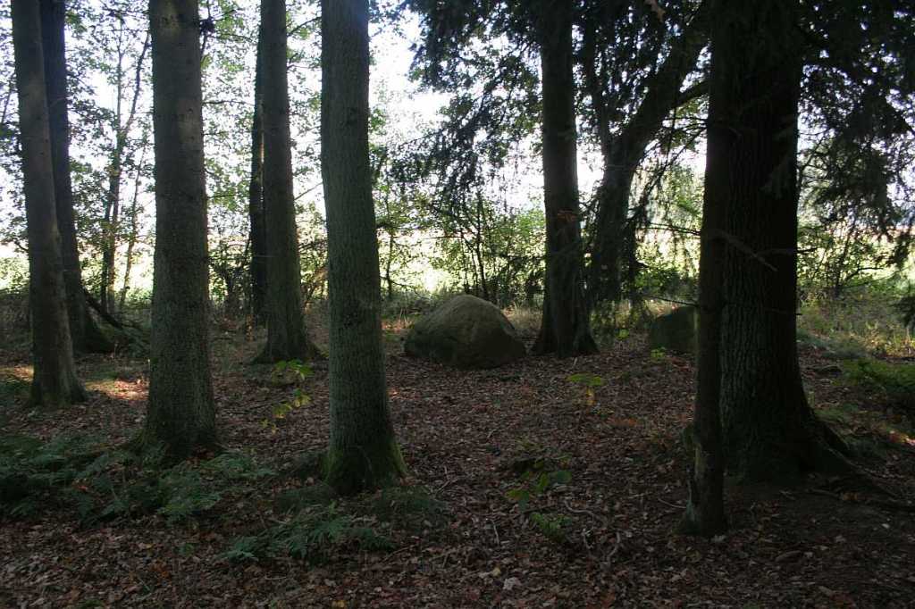 Magischen steinkreis im Garten selber legen