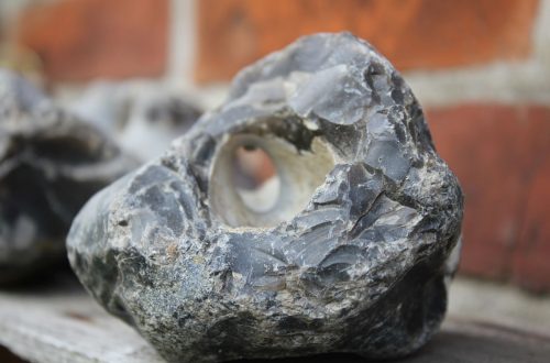 Hühnergötter, Donnerkeile und Krötensteine