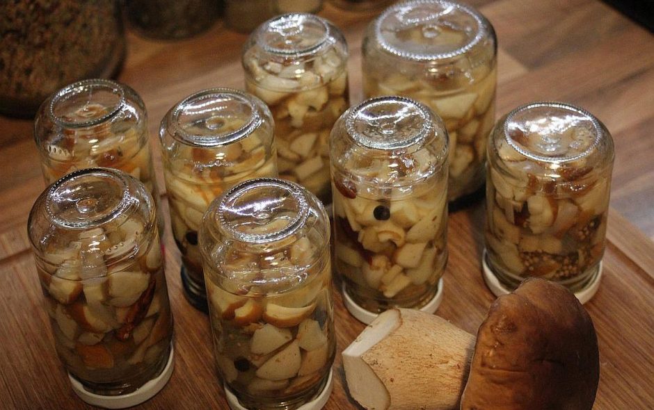Pilze in Essig einlegen