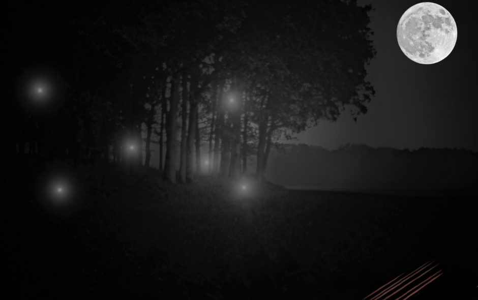 Irrlichter im Wald (Nachgestellt)