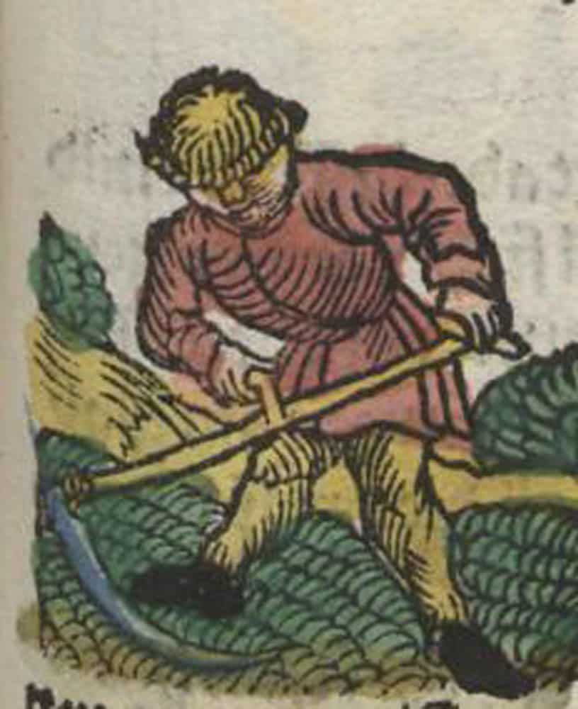 heumonat_juli_1512