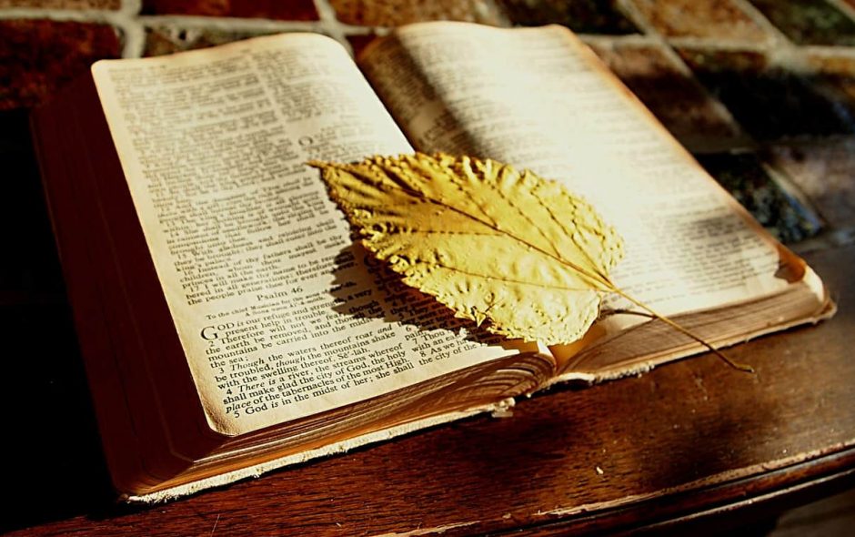 Garten des Walafried Strabo