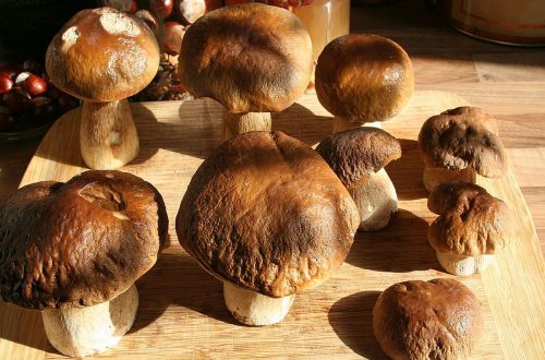 Pilzgebäck | Herbstküche