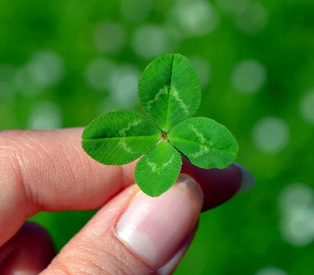 Was bedeutet eigentlich Aberglauben? Katuschka´s Celticgarden