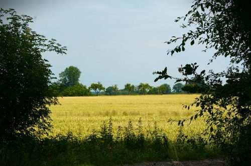 Sommersonnenwende Räucherwerk