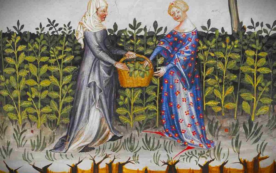 Wildkräuter sammeln im Oktober