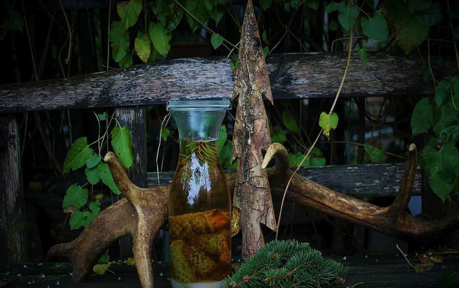 Likör aus Fichtenzapfen