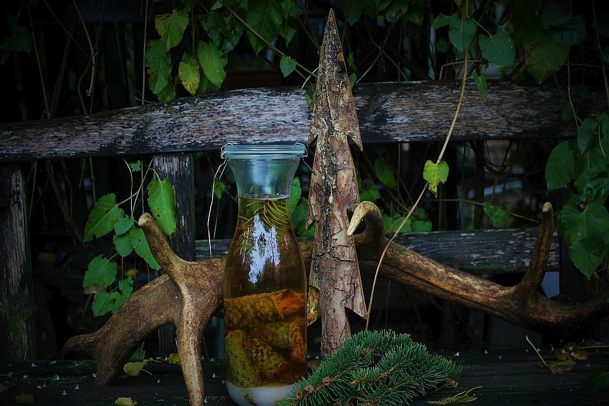 Likör aus Fichtenzapfen