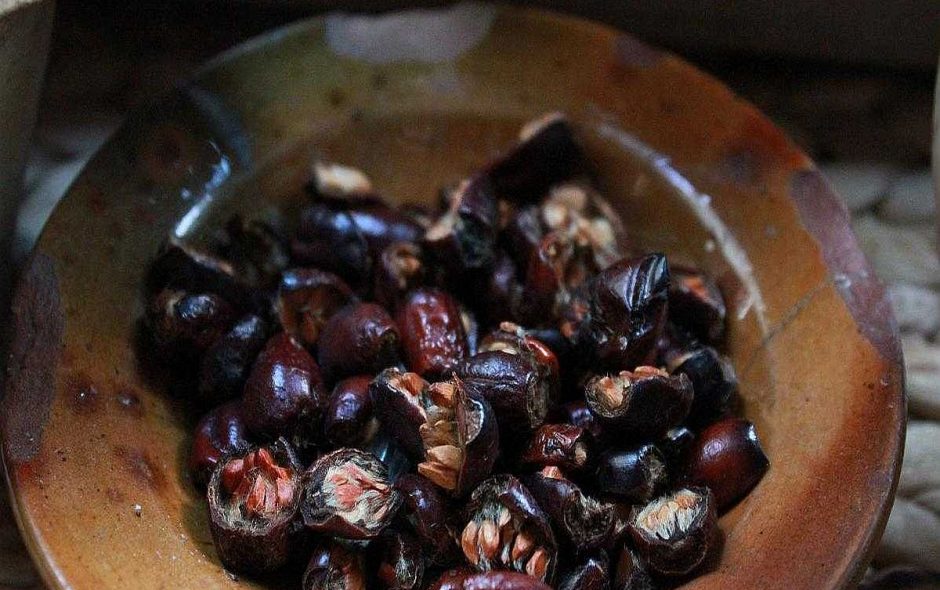 Hagebutten Räucherwerk