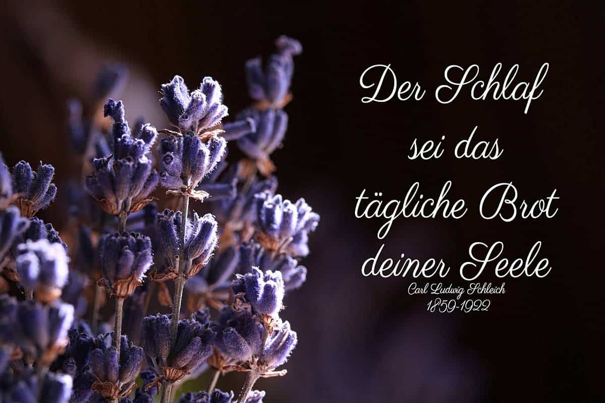 Kräuterkissen