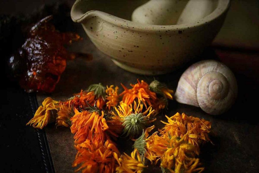 Ringelblumen räuchern für Klar- und Wahrträume