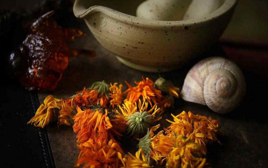 Ringelblumen räuchern für Klar- und Wahrträume