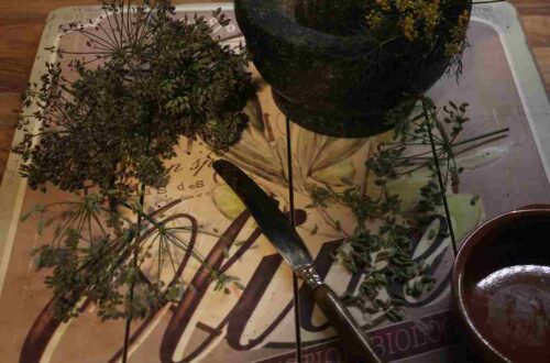 Honig mit Fenchel | Gegen Erkältungen