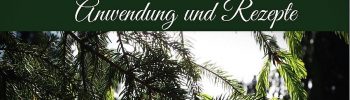Ebook Fichte