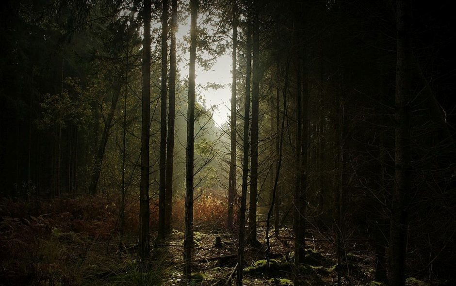 Wie man ein Reinigungs-Räucherwerk vornimmt