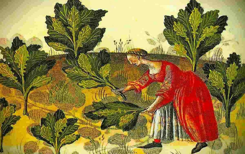 Sammelkalender für Juni