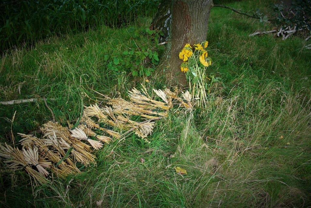 Erntedankfest an einem Feldrand