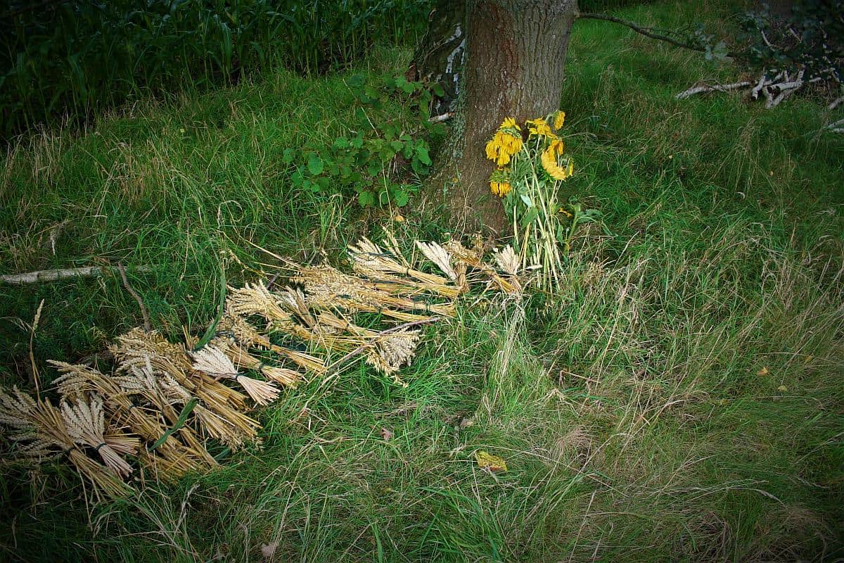 Erntedank Erntedankfest an einem Feldrand
