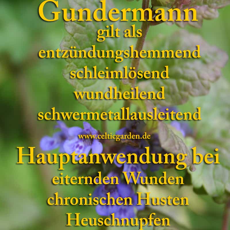gundermann monographie