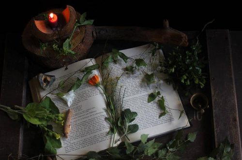 Altes Wissen: Zauberpflanzen