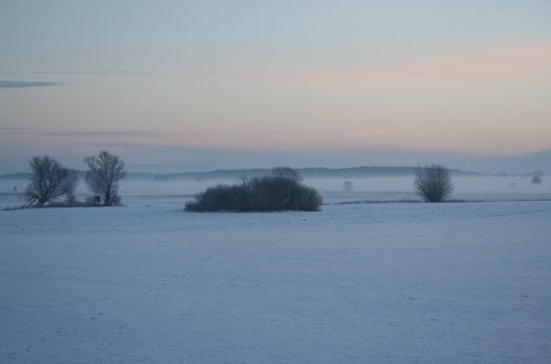 Altes Wissen: Mondjahr errechnen