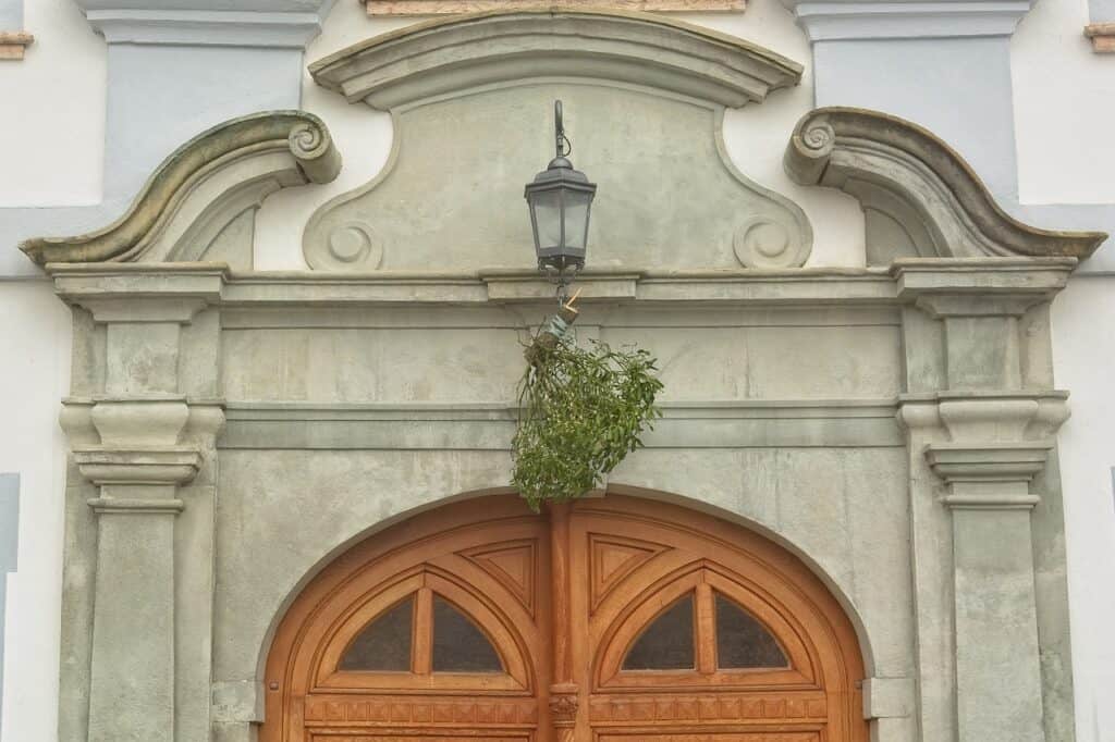 Die Mistel im Volksglauben
