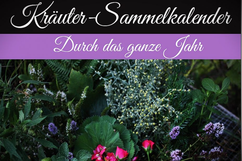Kräuter-Sammelkalender  eBook