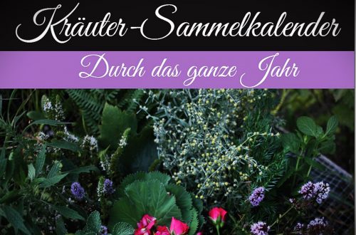 Kräuter-Sammelkalender | eBook