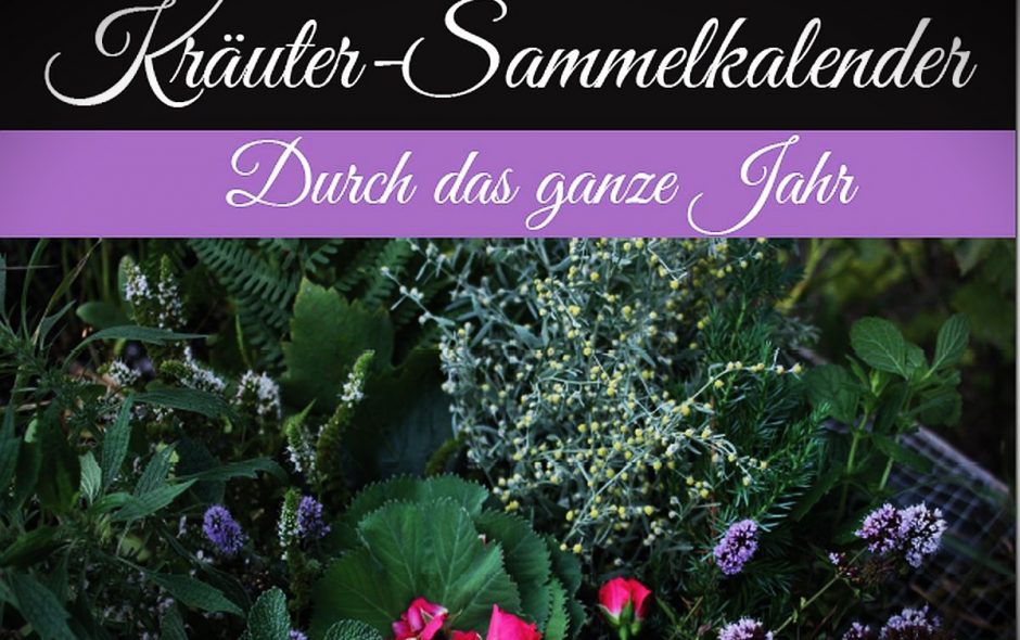 eBook Kräuter-Sammelkalender