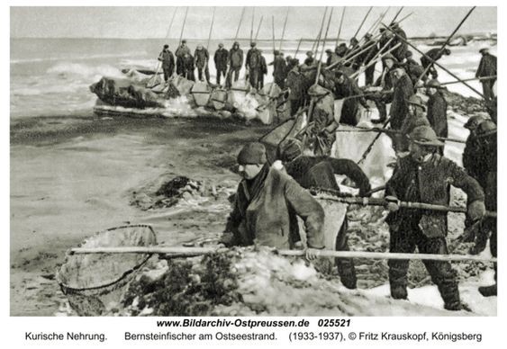 Bernsteinfischer an der Kurischen Nehrung