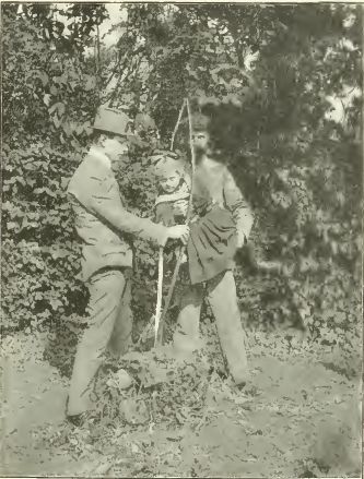 Ein in der Mitte gespaltener Baum für eine Durchziehkur