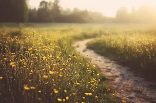 Frühlings-Tagundnachtgleiche: Ostara-Bräuche, Feuer & Altar