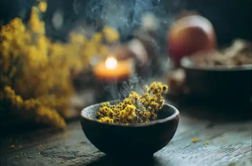 Goldrute räuchern: Magie für Glück, Reichtum & Dankbarkeit