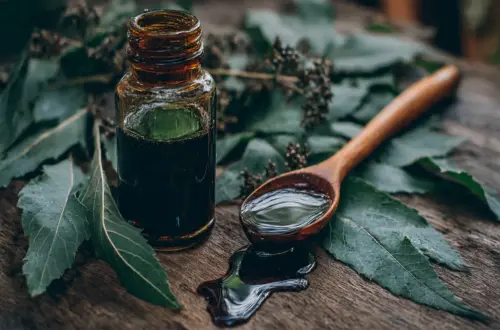 Grünes Holunder-Öl: Mittelalterliches Rezept gegen Insektenstiche