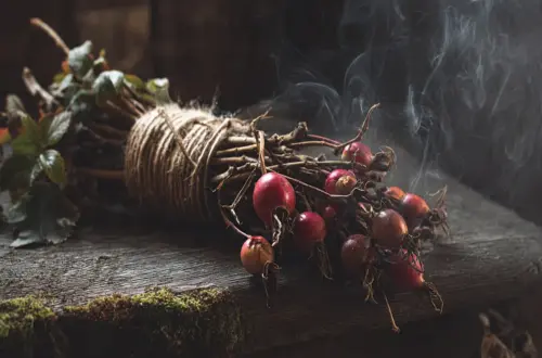 Heckenrose & Hagebutte: Magie, Räuchern und Schutzzauber