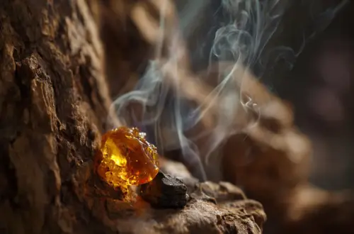 Lärchenharz & Nadeln räuchern: Der Weg zum Neuanfang