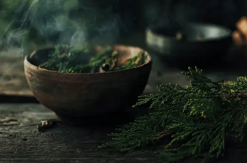 Lebensbaum räuchern: Das Opferholz, Wirkung & Mischungen