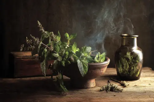 Minze räuchern: Wirkung auf Geist und Gemüt
