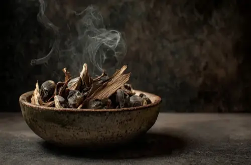 Rosskastanie räuchern: Magie für Schutz vor Energievampiren