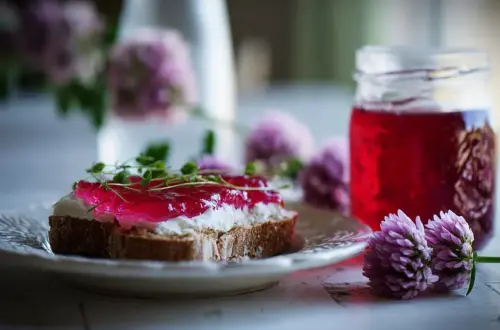 Rotkleeblüten-Gelee: Rezept für einen pinken Wiesen-Aufstrich