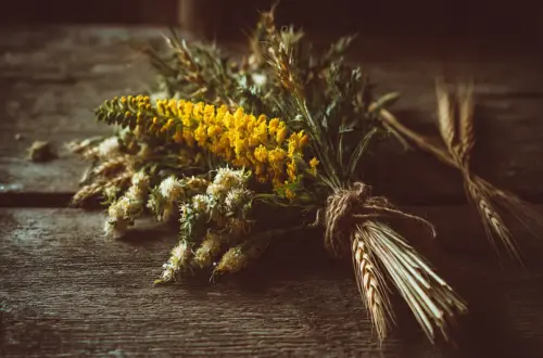 Erntedank: Schnitterfest feiern, Räuchern & Ebereschenmus