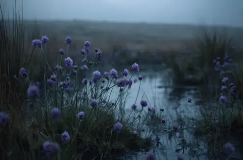 Der Teufelsabbiss: Gegen den Bösen Blick & alte Sagen