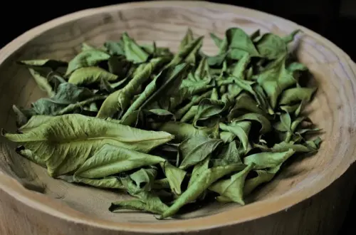 Klärender Rauch: Zitronenblätter, Fichtenharz & Magie der Rose